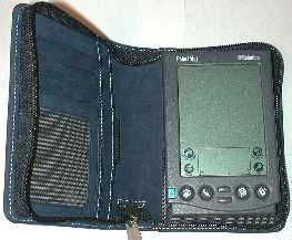 dimension palm lsuedezip4