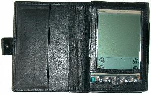 dvp7-3.jpg (15428 bytes)