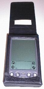 ebglove2