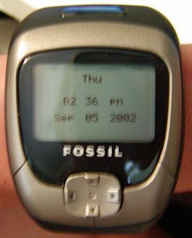 fossil8