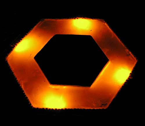 homebrite gardenaccent5