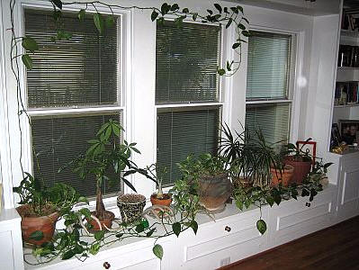 leakfrog water alarm6