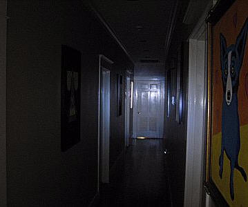 lumaray fl12 led flashlight6