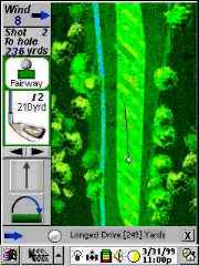 palmgolf2