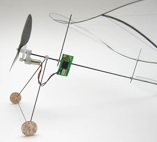 plantraco carbon bf 5