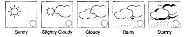 smarthome 1900 weather station24