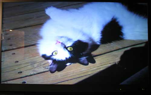 snazio porta cinema12