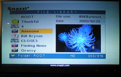 snazio porta cinema13