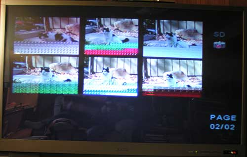 snazio porta cinema15