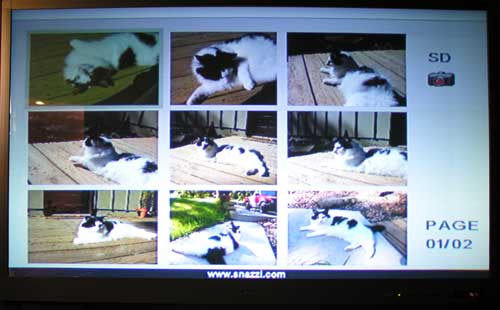 snazio porta cinema9