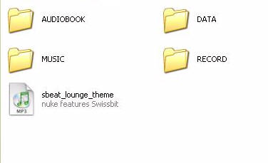 swissmemory sbeat mp3 player18