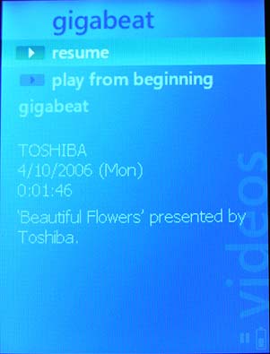 toshiba gigabeat t series