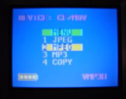 vosoni10