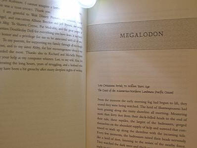 brando 3led clipon flashlight5