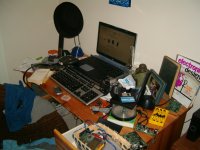 spring2007 tatum 1 tn